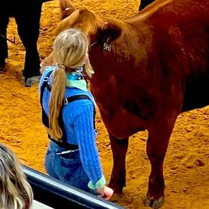 Meet your Posher, Madison